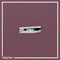 Monster Florence — Peepin' — обложка